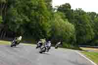 brands-hatch-photographs;brands-no-limits-trackday;cadwell-trackday-photographs;enduro-digital-images;event-digital-images;eventdigitalimages;no-limits-trackdays;peter-wileman-photography;racing-digital-images;trackday-digital-images;trackday-photos